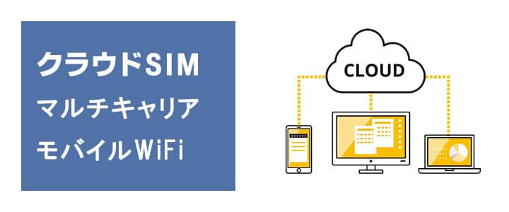 ポケットwifiクラウドSIMについて