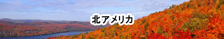 グローカルミー,glocalme,レンタルwifi,海外,旅行,アメリカ,カナダ