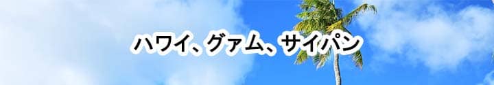 海外で使えるポケットwifiレンタル,ハワイ,グアム,サイパン