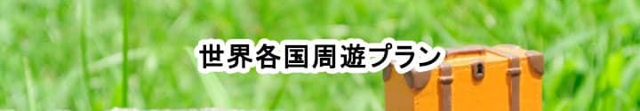 海外で使えるポケットwifiレンタル,周遊,出張,ビジネス