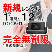 ポケットwifiレンタル国内旅行や帰省の際でのご利用ランキング3位DOCK01