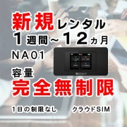 ポケットwifiレンタルNA01月容量200GB