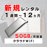 ポケットwifiレンタルU2s月容量50GB