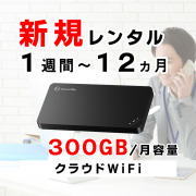 ポケットwifiレンタルU3月容量300GB