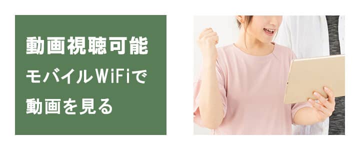 ポケットwifiは動画視聴可能