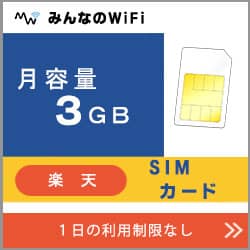 楽天回線利用SIMカード月容量3GB