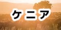 ケニアで使えるモバイルwifiレンタルはこちらから