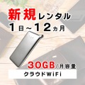 ポケットwifiレンタルU2s月容量30GB