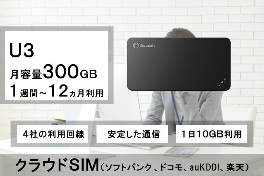モカサ*ソフトボード 直接受け渡し限定 8フィート - サーフィン